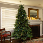 Load image into Gallery viewer, Clovi 7.5FT 82 Wonders of Christmas Prelit Fraser Fir Tree, 550 Lights
