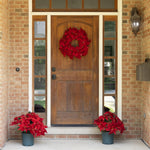Load image into Gallery viewer, Clovi Brad Schmidt Everglow Poinsettia Urn Filler, Prelit Christmas Decor
