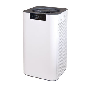 Soleus Air Whole Home Air Purifier