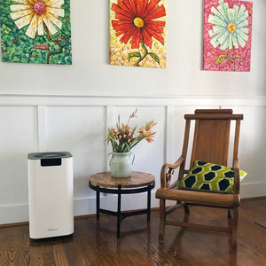 Soleus Air Whole Home Air Purifier