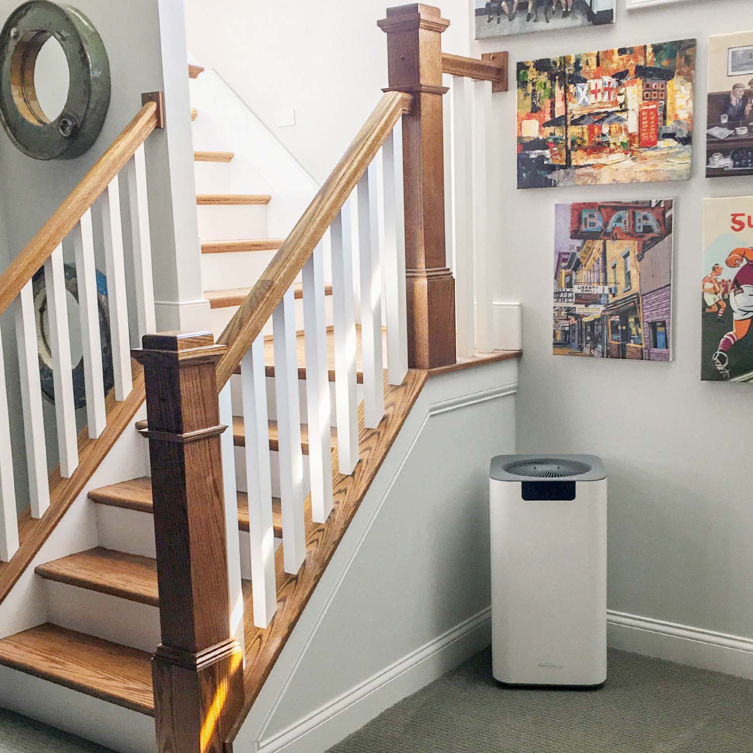 Soleus Air Whole Home Air Purifier