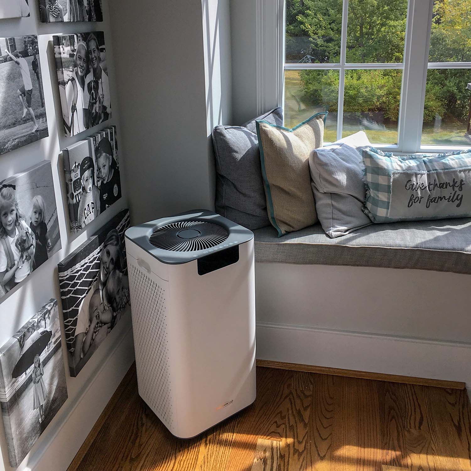 Soleus Air Whole Home Air Purifier